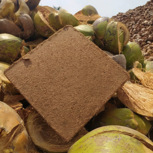 COCO PEAT 5 KG BLOCK PEAT COCO para EXPANSIÓN DE SETA DE SUSTRATO a 75L - Product Image 1