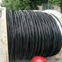 Cables Aéreos de Aluminio con Aislamiento de PVC XLPE 600V/0.6kV IP65, Temperatura de Trabajo de 75°C, Retardante de Llama General para Energía Eléctrica en Exteriores