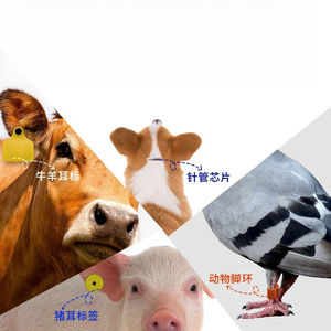 Lecteur/enregistreur RFID, scanner de puces pour animaux de compagnie, dispositif d'identification par étiquette auriculaire, appareil portable Bluetooth, dispositif de lecture de puces animales - Product Image 3