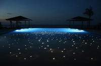 Luz Subacuática de Fibra Óptica de PVC Negro de 4 mm para Piscina, para Crear un Efecto de Estrellas