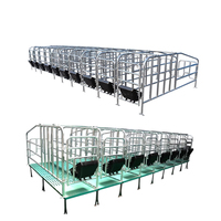 Équipement de ferme porcine professionnel de belle qualité positionnement colonne de limite de porc porcs caisses de gestation Cages pour animaux