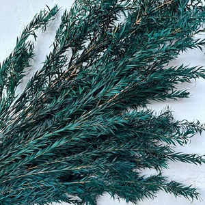 Bảo Quản Hoa Melaleuca Vàng Hoa Khô Bán Buôn Nhà Máy Cung Cấp Trực Tiếp Bó Hoa Thực Trang Trí Nội Thất Phụ Kiện - Product Image 5