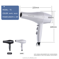 Sèche-cheveux professionnel à ions négatifs personnalisé de haute qualité, marque privée, moteur AC, salon, commercial, classique, 2200-2400W