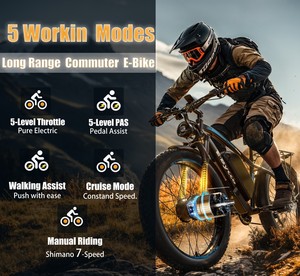 Bicicleta Eléctrica Premium de Aluminio con Llantas Gruesas de 24 Pulgadas, Suspensión Completa para Nieve, Playa y Arena, para Hombres y Mujeres - BE084, Opciones de Motor Dual Disponibles - Product Image 5