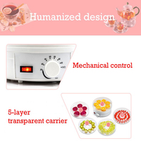 28Cm 5 Trays Elektrische Thuisgebruik Fruit Groenten Mini Food Dehydrator