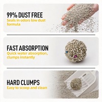 Bentonite Cat Litter-Penggumpalan Cepat Sangat Menyerap & Mengontrol Bau Kemasan 5kg Volume Besar Harga Rendah Pengadaan Grosir