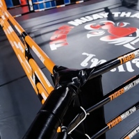 Anneau de boxe professionnel personnalisé pour l'entraînement en salle, en plein air, Muay Thai, UFC, MMA, équipement de kick-boxing, construction en acier