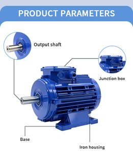 Moteur synchrone à aimant à démarrage en courant continu pour configurations personnalisées - Product Image 4
