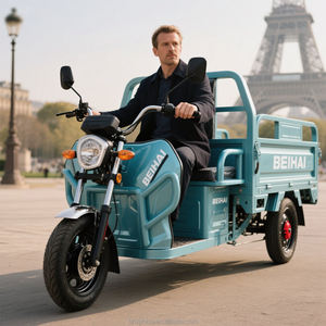 Triciclo Elettrico da Carico per Adulti a 3 Ruote Scooter Elettrico Tricicli <span class=keywords><strong>Tuk</strong></span> <span class=keywords><strong>Tuk</strong></span> Veicoli Elettrici Tipo Taxi - Product Image 5