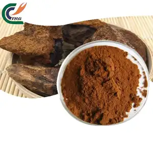 Chaga Powder Chaga Mushroom Extract Powder 10%-50%