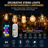 Luces de Cadena LED RGBIC para Exteriores, Bombillas Bistro con Cubiertas de PC Reemplazables para Proyectos de Iluminación de Paisajes