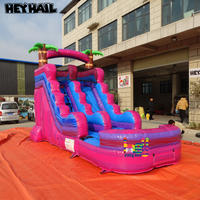 Toboggan aquatique gonflable commercial pour enfants de 14 pieds avec piscine pour fêtes en extérieur