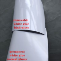 Revêtement de sol en vinyle blanc brillant imperméable et résistant aux UV, rouleaux autocollants en PVC, imprimable à l'encre éco-solvant, impression numérique, modèle