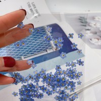 Fleurs de Myosotis séchées et pressées pour boucles d'oreilles pendantes Fête des Mères