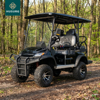 Voiturette de golf électrique tout-terrain 4x4, 2 places, 72V, robuste, avec boîte de chargement arrière, pour la ferme, la chasse, la propriété, 10KW, Lithium Buggy Pro
