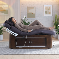 Elektrisches Modernes Massagebett mit Edelstahlrahmen, 2 Motoren, Hochdichtem Schwamm, Höhenverstellbar, Multifunktional für Gewerbliche Nutzung