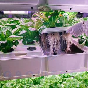 กล่องปลูกผักไฮโดรโปนิกอัจฉริยะ | ตู้เกษตรกรรมในร่มระบบอัตโนมัติสำหรับผักใบเขียว - Product Image 3