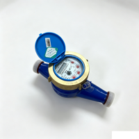 Durable Brass Casing Water Meter with High Accuracy Measurement