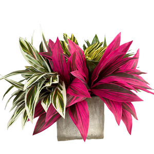 Foglia <span class=keywords><strong>di</strong></span> Banana Artificiale Colorata a 9 Foglie, Albero del <span class=keywords><strong>Sangue</strong></span> <span class=keywords><strong>di</strong></span> Drago Brasiliano, Decorazione Natalizia e del Ringraziamento in Plastica, 51cm, per Interni ed Esterni - Product Image 3