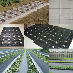 L'erba a prova di erba impedisce l'erba protegge il suolo permettendo alle piante di crescere in modo sano - Product Image 1