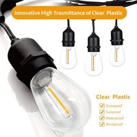 Ampoules Led Edison S14 d'extérieur incassables pour éclairage de vacances, 24V, 120V, 240V, 1W, 60lm