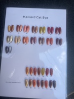 Nouveau Kit de vernis à ongles en gel pour les yeux de chat à haute teneur en paillettes personnalisé 12 couleurs 30 couleurs 36 couleurs Soak Off UV Cat Eye Gel Nail Polish Set avec affichage