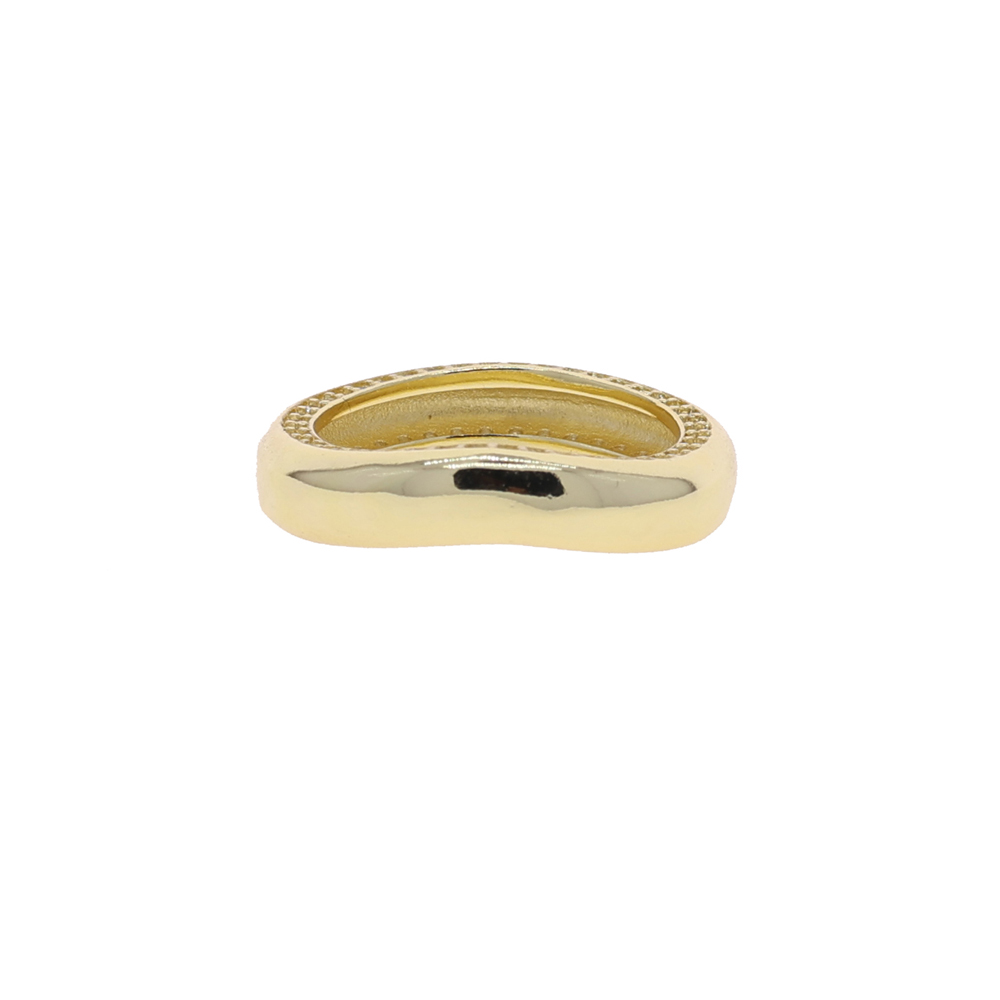 R551-GOLD