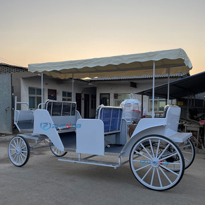 Carruaje Turístico Eléctrico o de Caballos Personalizado para Parques y Atracciones, Nuevo Estilo, Gran Venta - Product Image 3