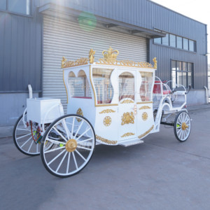 Carruaje Eléctrico de Alta Calidad ZOWN, Nuevo Diseño, Estilo Princesa Cenicienta, 4 Ruedas, para 4-6 Personas, Ideal para Bodas, Eventos y Turismo - Product Image 5