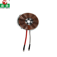 Fournisseur de plaques de cuivre personnalisées CHTX207-230 pour appareils électromagnétiques, bobine d'induction électromagnétique, bobine de chauffage par induction électrique