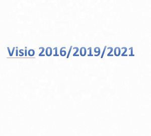 Activación de <span class=keywords><strong>Visio</strong></span> <span class=keywords><strong>Professional</strong></span> 2021 y 2024 para la Versión en Inglés, Licencia Profesional de Redes y Servidores para Uso Global - Product Image 1
