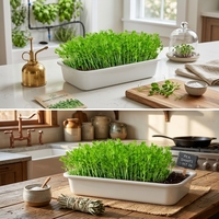 Kit de culture de légumes en céramique, germeur de graines, plateau de démarrage de plantes, plateau de culture de micro-légumes avec trous de drainage, revêtement époxy
