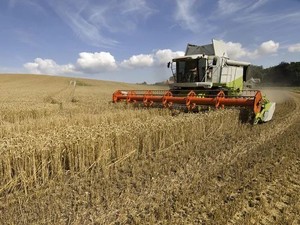 Potente Equipo <span class=keywords><strong>de</strong></span> Cosecha Agrícola AF88G 88HP Cosechadora <span class=keywords><strong>de</strong></span> Alto Torque para Huertos y Frutas - Product Image 3
