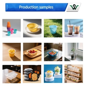 Machine d'<span class=keywords><strong>occasion</strong></span> pour la fabrication de gobelets et assiettes en plastique, machine à fabriquer des coupes à glace en plastique, machine à fabriquer des bols en plastique, certifiée CE pour la vaisselle jetable - Product Image 6