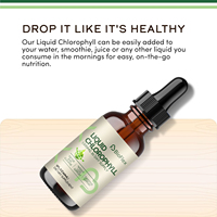 BioFlex Gouttes de chlorophylle liquide personnalisées avec logo, supplément détoxifiant à base de plantes pour la perte de poids, liquide oral