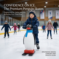 Panneaux de glace synthétique UHMWPE sur mesure, plaque de glace artificielle, panneaux de patinoire portable, OEM