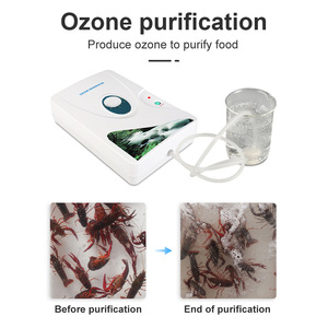 Ozone Generator Fruit Vegetable Cleaner 6.1-8L Multifunctional Kitchen Disinfection Machine for Fresh Produce Washing - Product Image 5