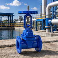 Vanne à opercule à tige montante à bride de l'usine chinoise pour l'eau de process des stations de pompage et les conduites industrielles, vanne à opercule à joint souple