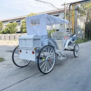 Electric Sightseeing Vehicle Perfect for Amusement Parks Horse Carriage Horse Drawn Carriagefor Sale - Product Image 4
