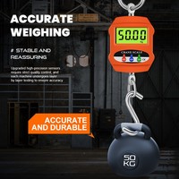 Balance de grue HKLP 300 kg avec affichage LED, personnalisable, en ABS, balance de poche numérique LCD, contrôleur de poids, balance d'essieu, OEM