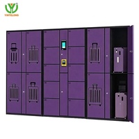 Yinlong - Almacenamiento de Equipaje Inteligente con Código QR, Autoservicio, Impermeable, para Exteriores, Playa, Almacenamiento Compartido, Pago con Tarjeta
