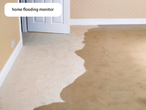 Bluetooth Home Use <strong>Water</strong> <strong>Leak</strong> <strong>Detector</strong> <strong>Water</strong> Alert Sensor Beacon with Alarm Flood Leakage Alert <strong>Detector</strong> - Product Image 2