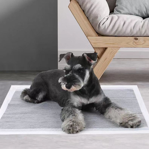 Welpen-Toilettentraining-Pads mit Bambuskohle Haustier-Trainingszubehör Selbstklebende Kohle-Trainingsunterlage zum Pinkeln - Product Image 1