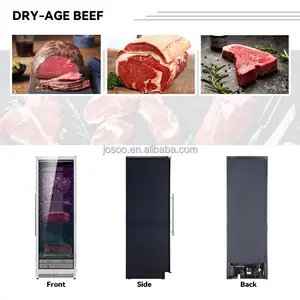 Josoo Personal Customization Meat Drying Cabinet Upright Dry Ager Refrigerator Dry Aged Meat Cabinet Refrigerator