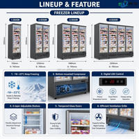 Congélateur vertical commercial pour crème glacée, double porte, avec système de dégivrage automatique, à vendre