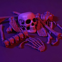 Modèle de squelette humain démontable 19 pièces - Accessoires de décoration effrayants pour Halloween, maison hantée, fête et éducation scientifique