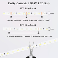 Bande LED SMD 2835 Haute Densité CCT 2700K-6500K 120 180 192 196 240 LED avec Contrôle Intelligent par APP pour Maison, Vitrine, Armoire de Centre Commercial