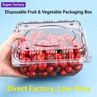 Boîte à fruits jetable de marque Weishen, Guangdong, avec couvercle transparent, en plastique PET de qualité alimentaire, modèle 500G, option de logo personnalisé