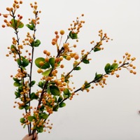 Begoniafruit met bladeren, kleine fruitjes met lange steel, miniatuurappel, tafeldecoratie voor thuis, gastenverblijf en showroom