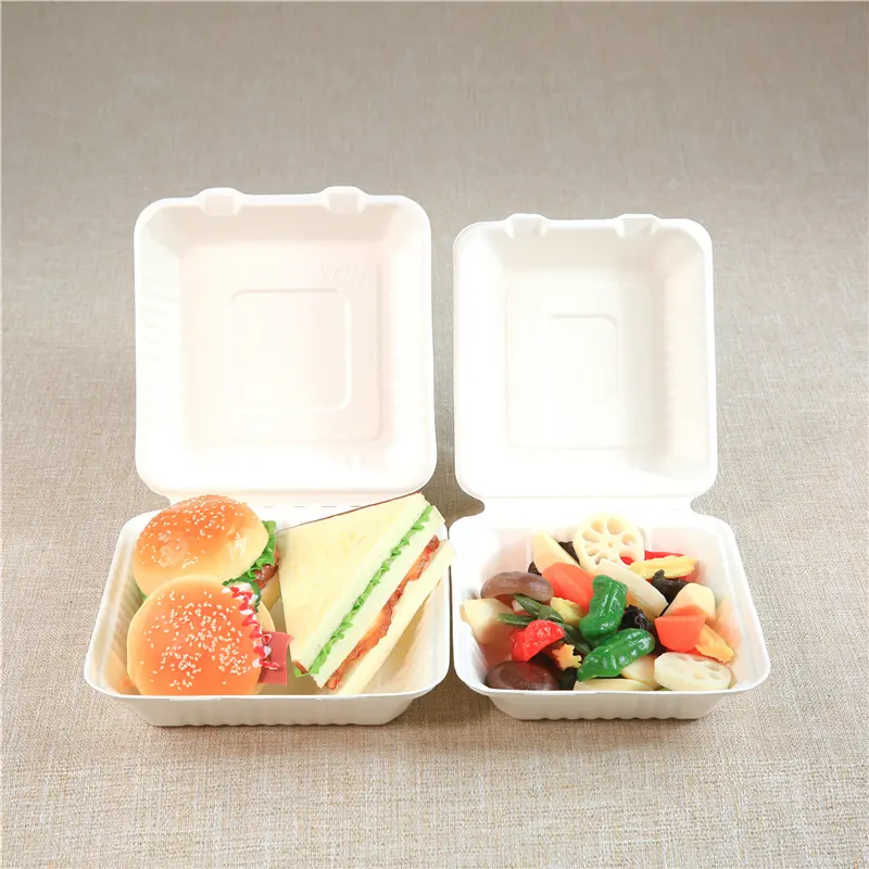 Sugarcane Bagasse Take Out Food Box Takeaway lunch Eco Friendly Container